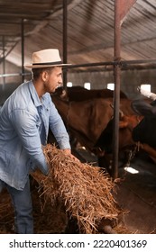 Young Male Farmer Working In Cowshed