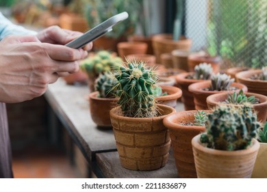 Young Male Flower Grower Embraces Big Pot With Prickly Cactus , Man At Work In Greenhouse With Cactus. 