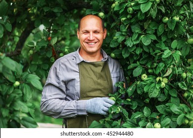 Young Male Gardener Working In The Garden.