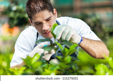 young male gardener working in greenhouse - Powered by Shutterstock
