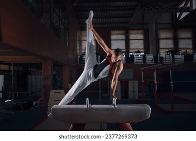 Young male gymnast doing exercises on the rack - Powered by Shutterstock