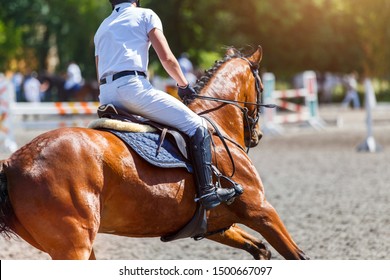 Young Male Horse Rider On Equestrian Sport Competition In Show Jumping Contest