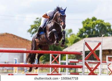 Young Male Horse Rider On Equestrian Sport Competition In Show Jumping Contest