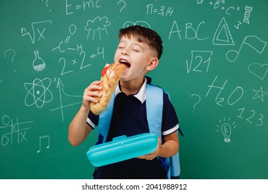 Young Male Kid School Boy 5-6 Years Old In T-shirt Backpack Biting Sandwich Eat Lunch At Break Isolated On Green Wall Chalk Blackboard Background. Childhood Children Kids Education Lifestyle Concept.