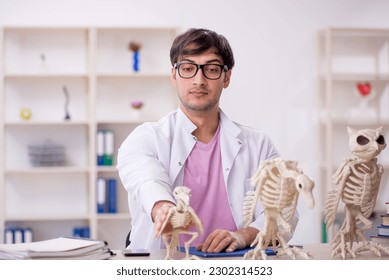 Young male paleontologist examining ancient animals at lab - Shutterstock ID 2302314523