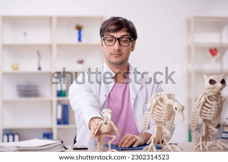 Young male paleontologist examining ancient animals at lab