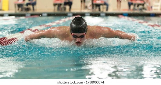 A Young Male Swimmer Swims The Butterfly At A Swimming Meet