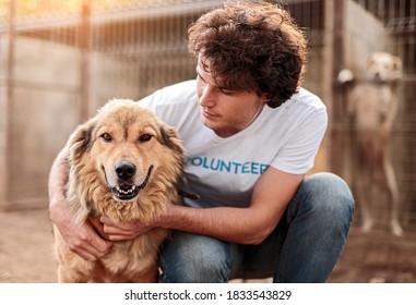 Young Male Volunteer Embracing Adorable Homeless Furry Dog While Working In Animal Shelter