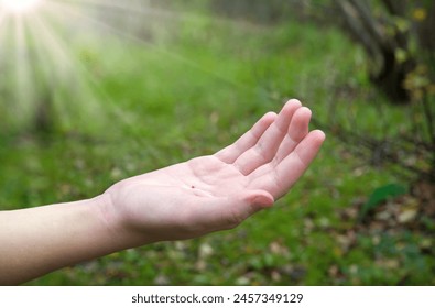 Young male worker ask biblic god open palm choose show produce tiny raw new power pray life hope. Close up macro view single girl take dry good word tree ground soil field land bio eco chia food crop - Powered by Shutterstock