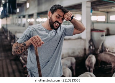 Young Male Worker Doing His Everyday Job On Huge Pig Farm. 