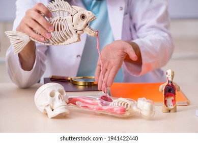 Young male zoologist examining fish skeleton - Powered by Shutterstock