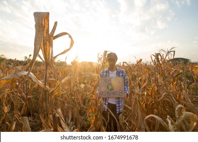 Young Man With Against Climate Change Board And Heat Of Extreme Weather On Summer Impact Destroyed Crops Product 