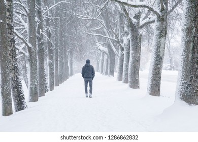 Young man alone slowly walking on snow covered sidewalk through alley of trees. Enjoying fresh air in blizzard in winter day. 