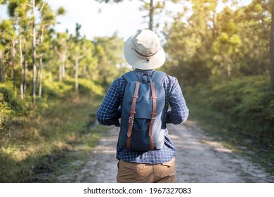 Young Man With Backpack And Hat Hiking In Mountains During Summer Season, Solo Traveler Walking In The Forest. Travel, Adventure And Journey Concept