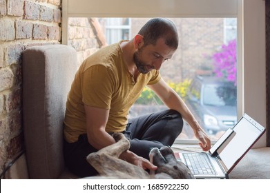 Young Man With Beard In Sweat Pants And T-shirt With Computer Playing With His Dog Near To A Window. Home Office Concept