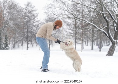 Young Man In Beige Sweater And Blue Jeans Playing With White Dog Golden Retriever During Snowfall Outdoor In Public Park. Winter Time. Leisure Games, Outside Pursuit Activity. Domestic Pet Training.