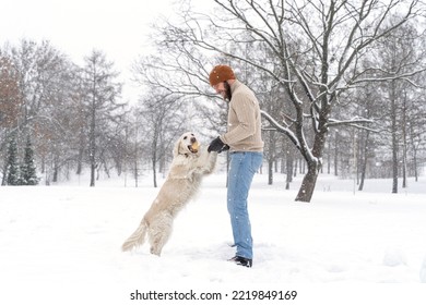 Young Man In Beige Sweater And Blue Jeans Playing With White Dog Golden Retriever During Snowfall Outdoor In Public Park. Winter Time. Leisure Games, Outside Pursuit Activity. Domestic Pet Training.