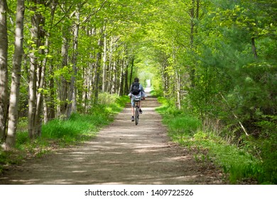 Young man biking cycling through the park alley green tunnel made of tree brunches. Summer / spring scene. Recreational sport and cycling concept. Selective focus. Caledon trailway path, Ontario.