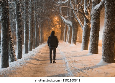 Young man in black clothes alone slowly walking on snow covered sidewalk through alley of trees. Peaceful atmosphere in snowy winter night. Back view.
