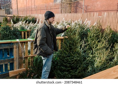 Young Man Buying Christmas Tree At An Outside Christmas Market In New York