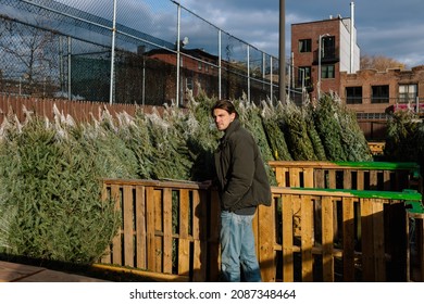 Young Man Buying Christmas Tree At An Outside Christmas Market In New York