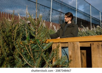 Young Man Buying Christmas Tree At An Outside Christmas Market In New York