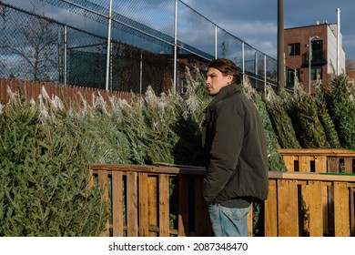 Young Man Buying Christmas Tree At An Outside Christmas Market In New York