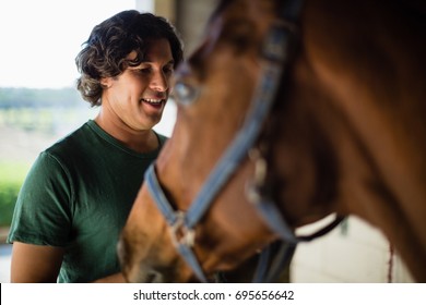 Young man caressing the brown horse in the stable - Powered by Shutterstock
