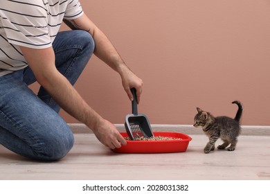 Young man cleaning cat litter tray at home, closeup