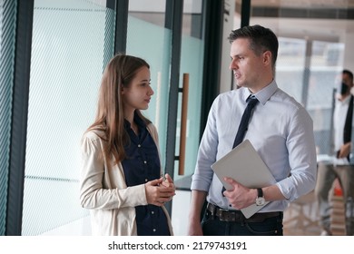 Young Man Consulting His Business Partner At Meeting In Office