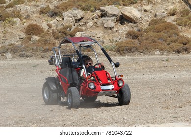 A Young Man Controls A Buggy