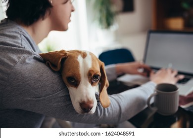 Young Man Cuddling With His Dog While Drinking Morning Coffee In Kitchen