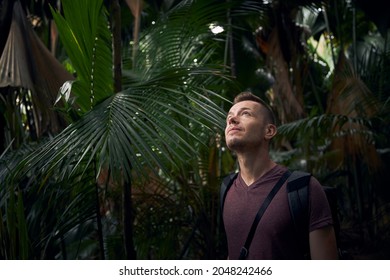 Young man discovering jungle. Traveler in tropical rainforest in Seychelles.