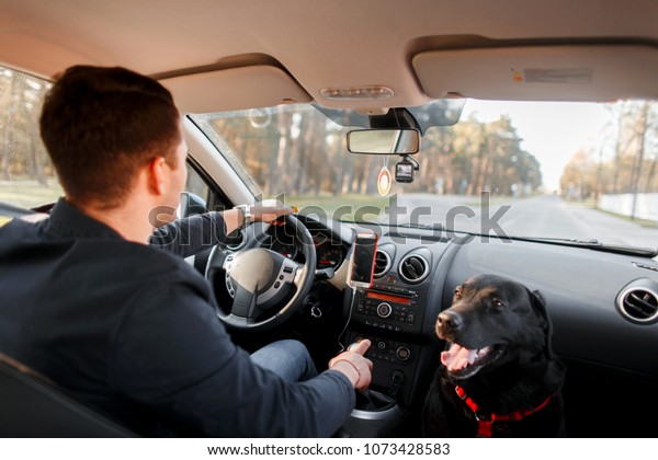 Young man with a dog\
is driving in a car