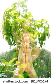 Young Man Double Exposure Portrait With Leaves