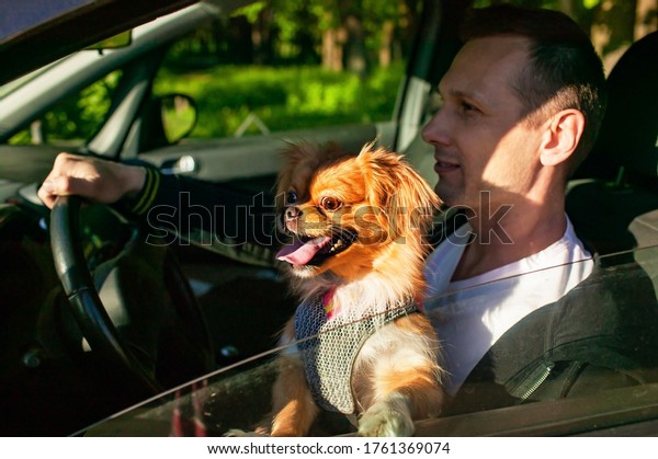 Young man\
Driver With A Dog Sitting In Car,\
Driving.