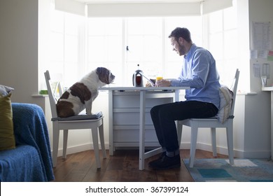 Young Man Eating Breakfast With Dog