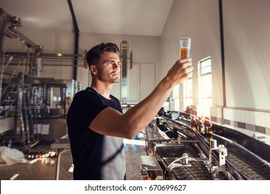 Young man examining the quality of craft beer at brewery. Male inspector working at alcohol manufacturing factory checking the beer. - Powered by Shutterstock