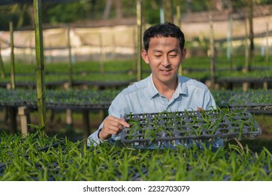 Young man farmer working at his orchid farm. Young man notes the information on the notepad to track the growth of orchid. Portrait asian small business owner of orchid gardening farm.  - Powered by Shutterstock