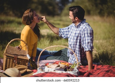 Young man feeding his girlfriend while sitting on picnic blanket at farm - Powered by Shutterstock