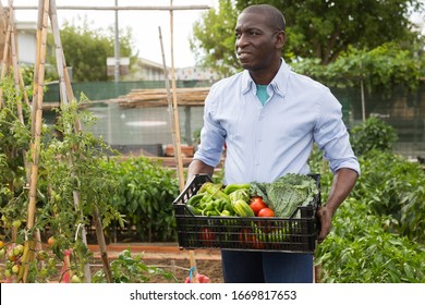 Young man  gardener holding  harvest of fresh vegetables in  garden  - Shutterstock ID 1669817653