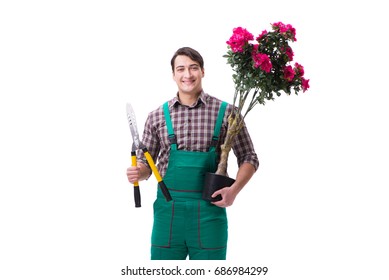 Young Man Gardener Isolated On White