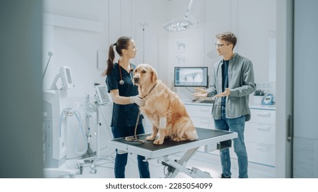 Young Man in Glasses, Accompanying His Pet Golden Retriever at Doctor's Appointment at Veterinary Clinic. Dog Standing on Examination Table While Female Vet with Stethoscope Inspects the Pet