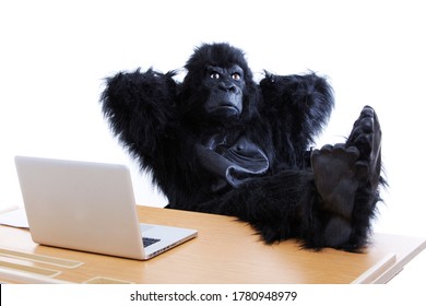 Young Man In Gorilla Costume Resting Feet On Desk At Office