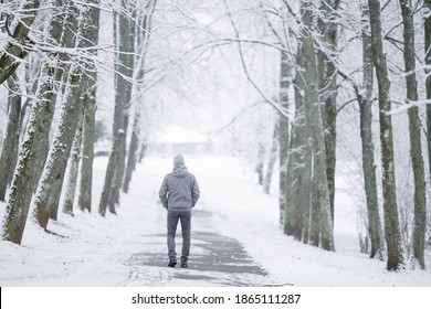 Young man in gray warm clothes walking through alley of trees in white snowy winter day at park after blizzard. Fresh first snow. Spending time alone in nature. Peaceful atmosphere. Back view.