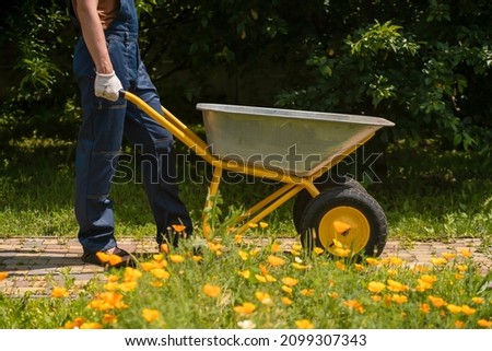 A young man with hands in gloves is carrying a metal garden cart through his beautiful green blooming garden. A professional gardener is carrying a wheelbarrow