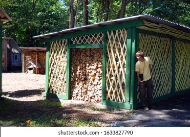 Young Man Hiding From A Dog Behind A Shed With Wood. Man Playing Hide And Seek With Watchdog. Afraid Of Dogs. 