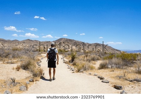 Young man hiking with backpack in the desert toward rock mountains on Arch Rock Trail in Joshua Tree National Park, California, USA