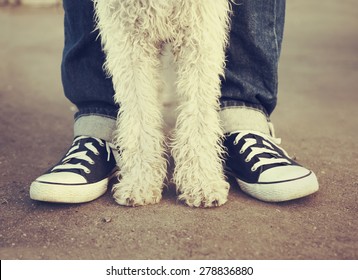 Young Man With His Dog