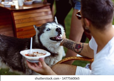 Young Man And His Dog At Barbecue Dinner On Sunset Time. Having Meal Outdoor In A Forest Glade Or In Backyard. Celebrating, Relaxing. Summer Lifestyle, Food, Resting, Holidays, Weekend, Pet Concept.